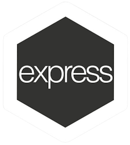 Express js Image