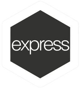 Express js Image